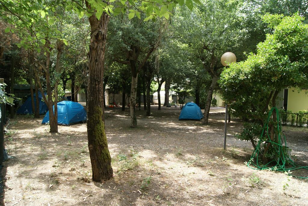 Camping Dolce Sole 마리나디마사 객실 사진